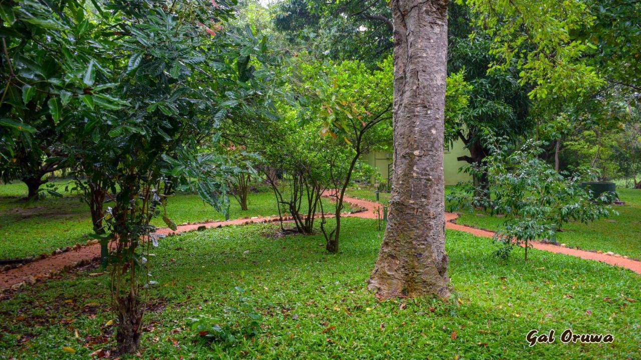 Gal Oruwa Resort Dambulla Zewnętrze zdjęcie