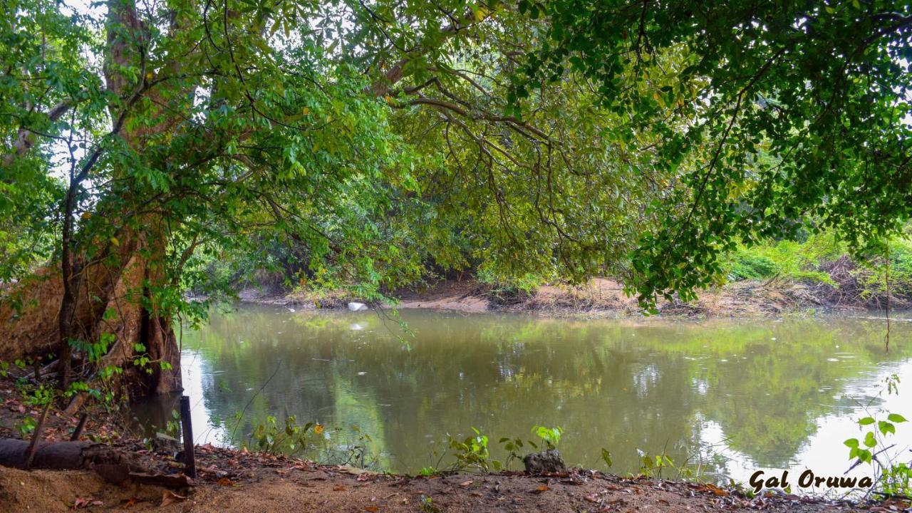 Gal Oruwa Resort Dambulla Zewnętrze zdjęcie