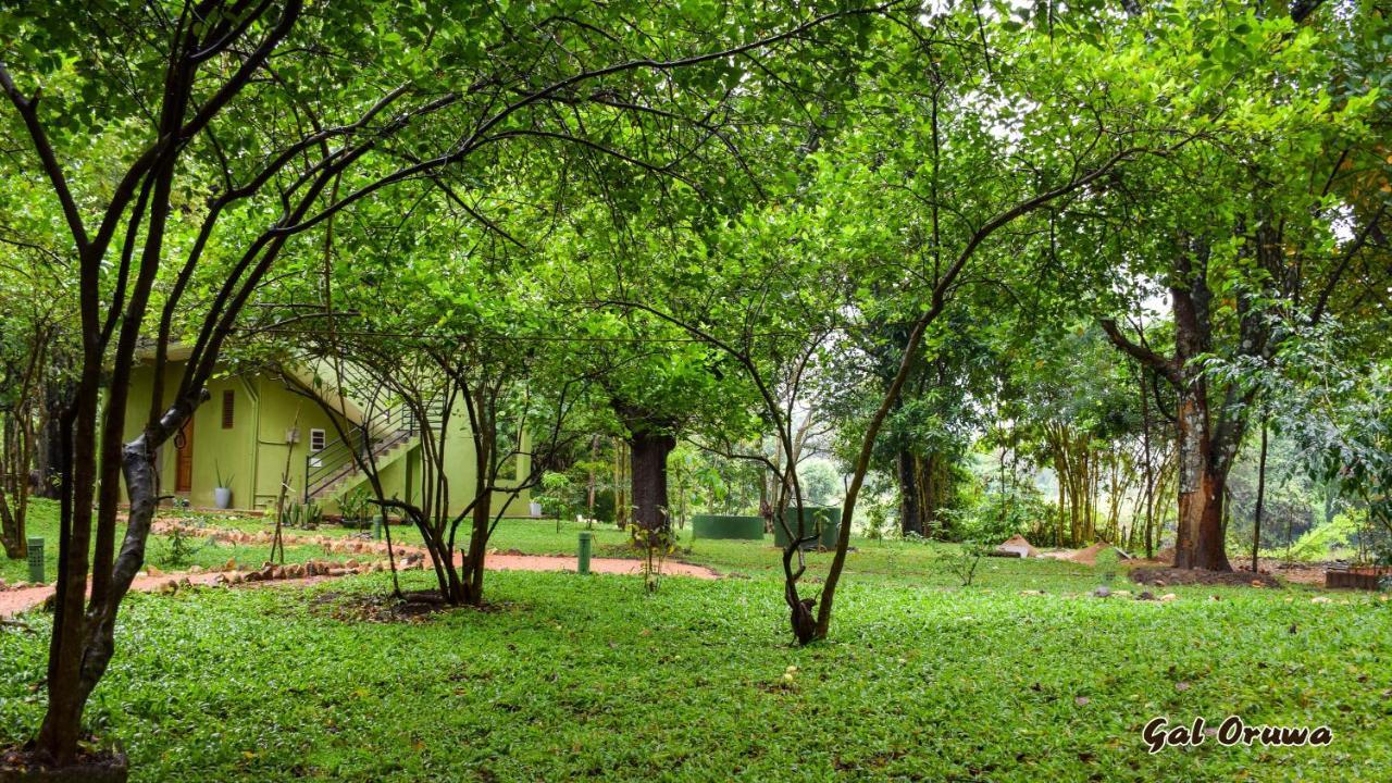 Gal Oruwa Resort Dambulla Zewnętrze zdjęcie
