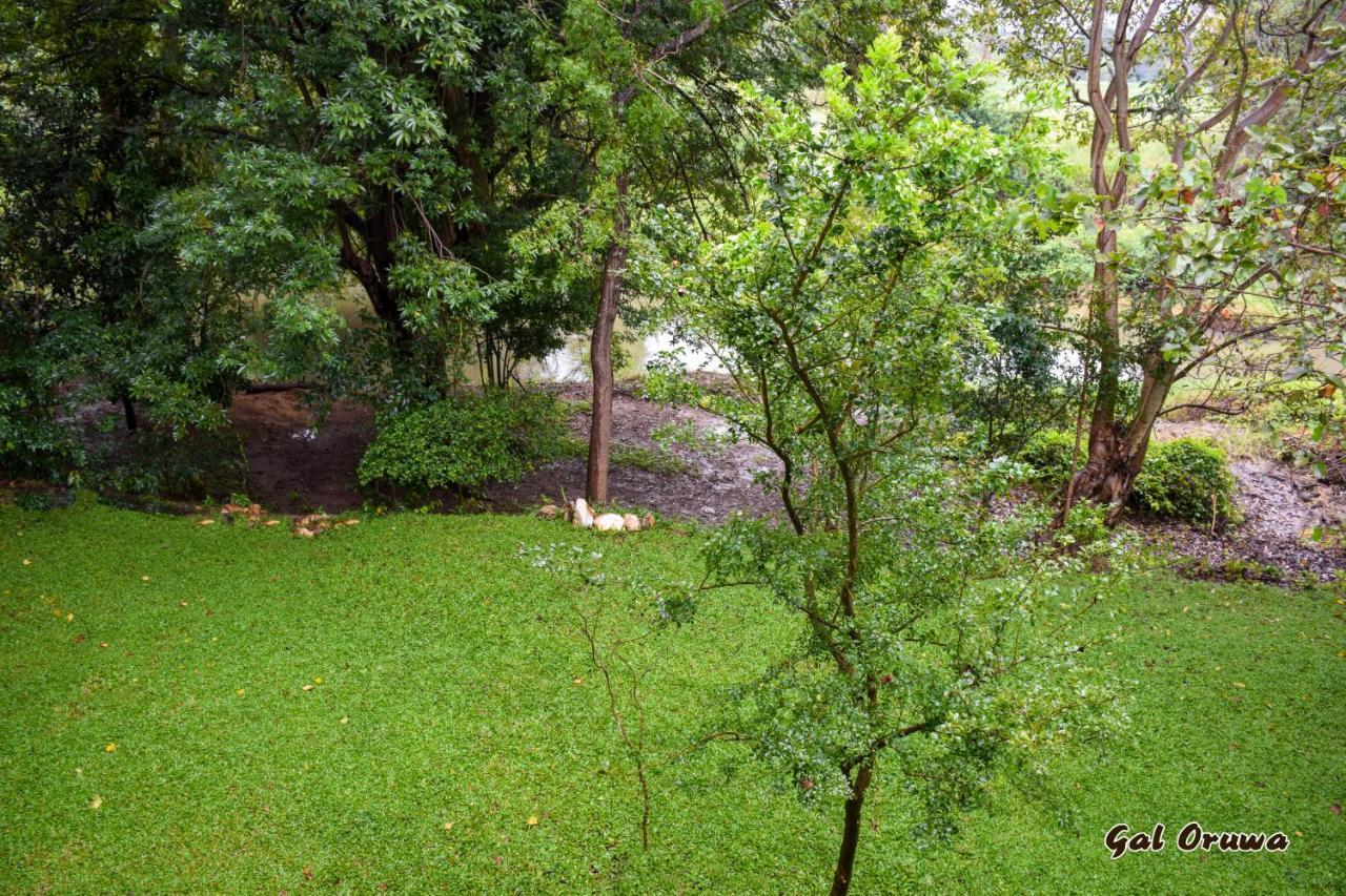 Gal Oruwa Resort Dambulla Zewnętrze zdjęcie