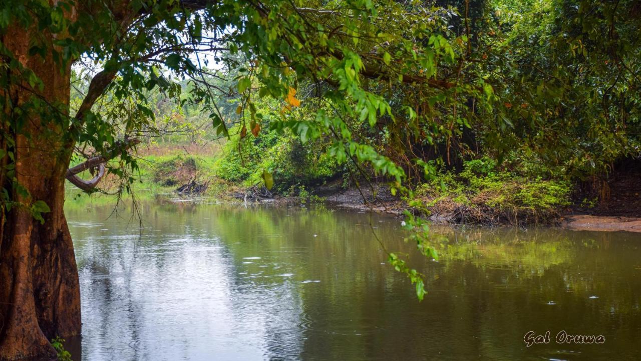 Gal Oruwa Resort Dambulla Zewnętrze zdjęcie